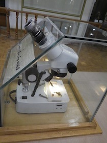 IMGP7299.jpg