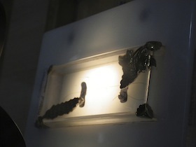 IMGP7300.jpg
